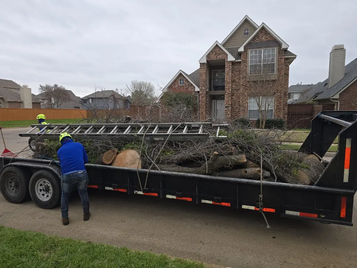 Expert Tree Fertilization with proper safety equipment in Camp Hill